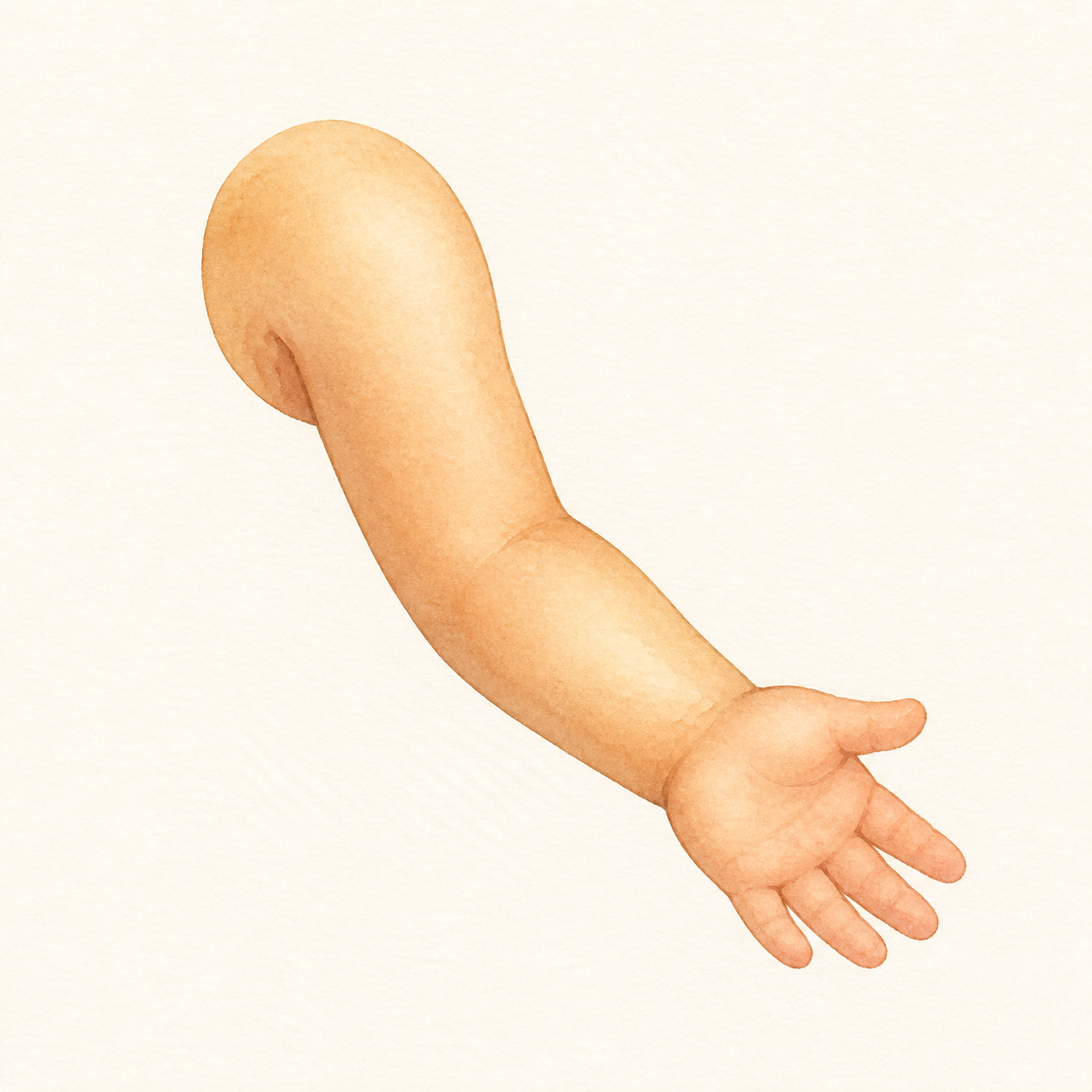 A simple human arm with an open hand.