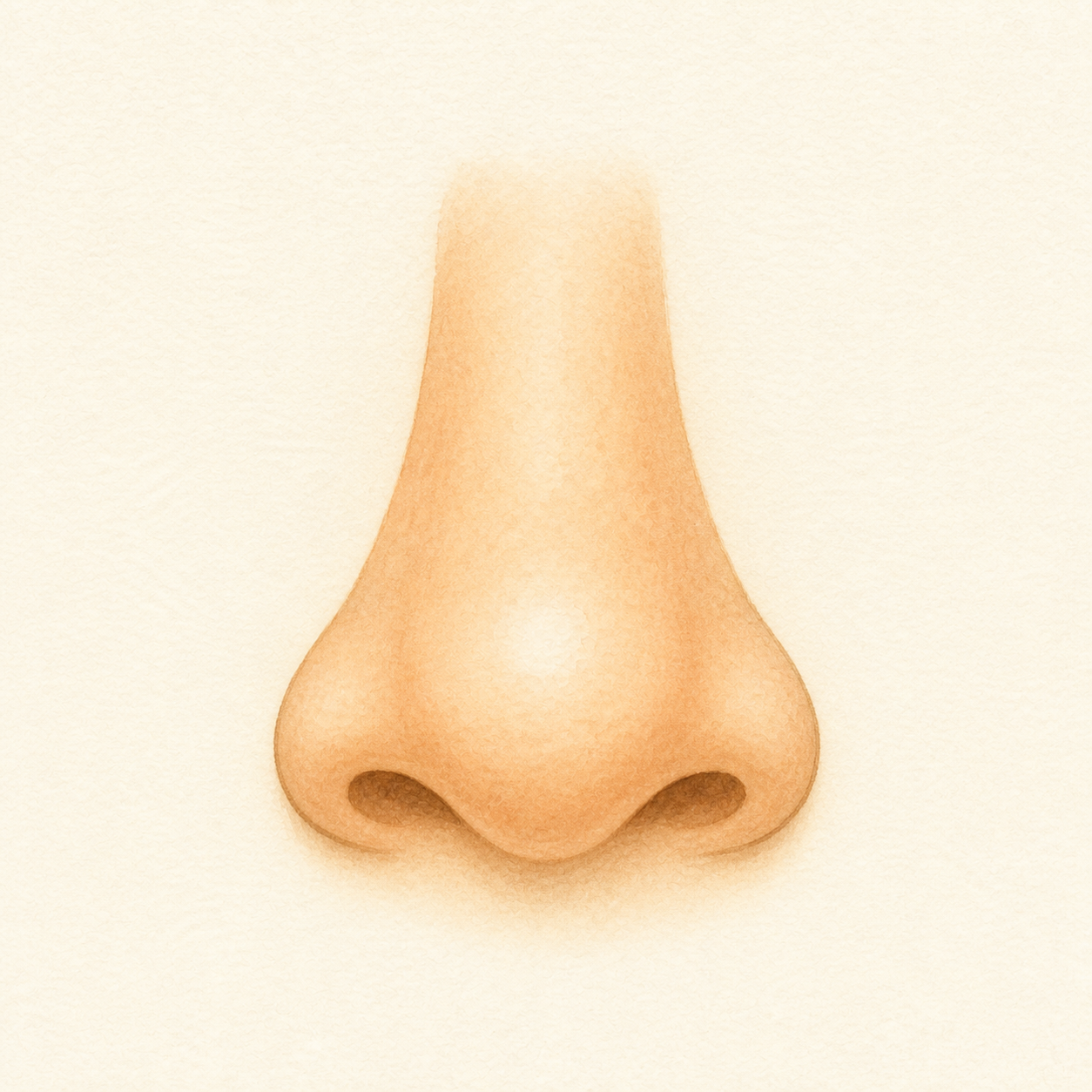 A simple nose.